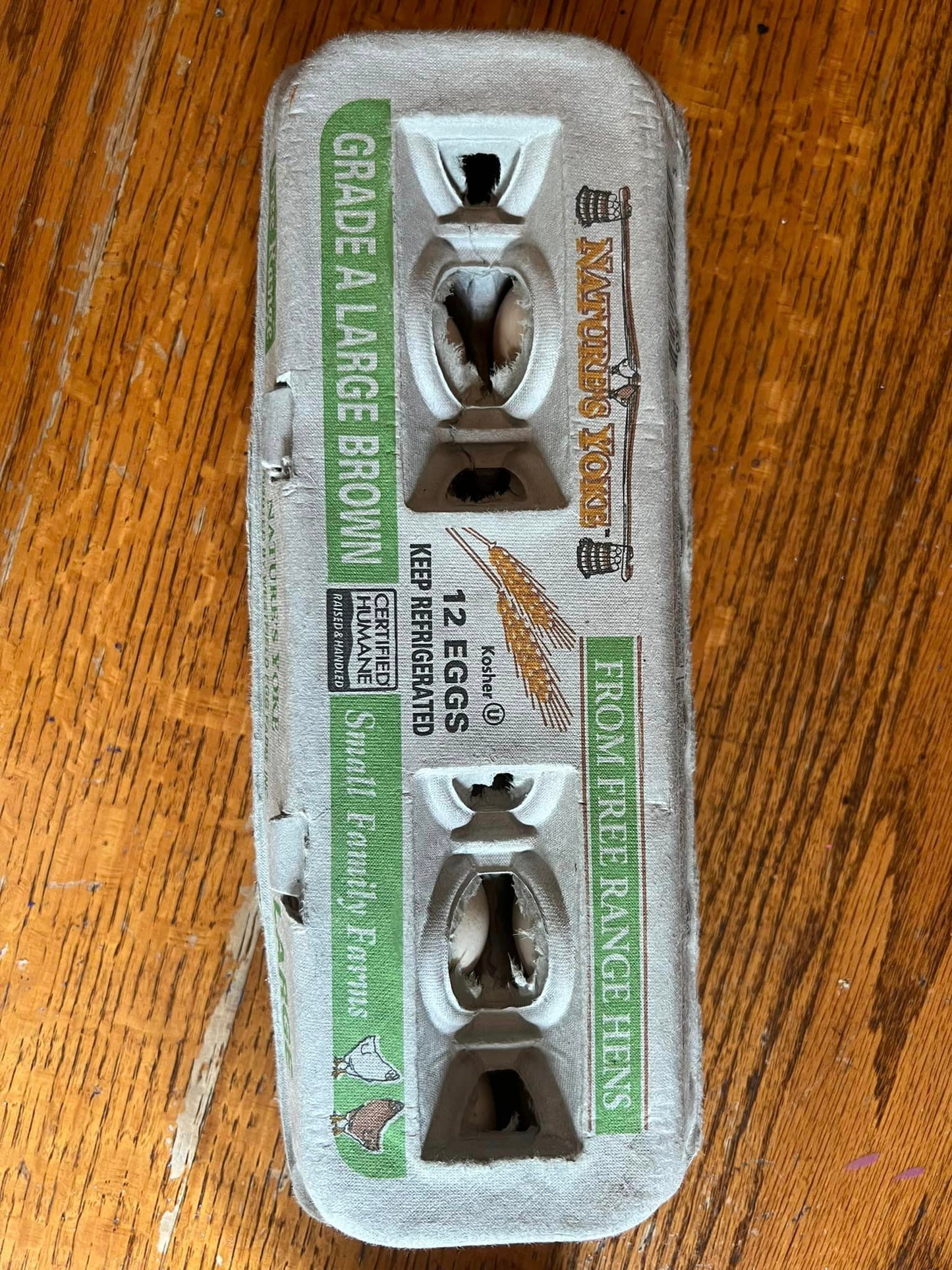 White American Bresse Chicks